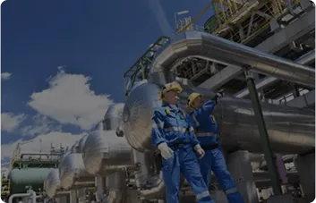 Industrial Engineers Inspecting Facility